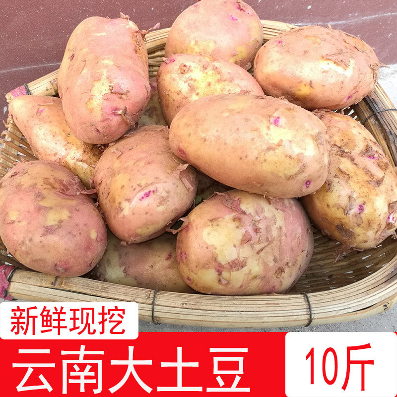 云南红皮黄心土豆新鲜土豆农家红皮粉糯土豆现挖马铃薯淡红皮88号