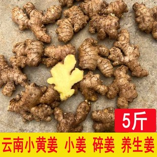 云南小黄姜生姜小姜碎姜月子姜土姜农家姜养生保健针灸姜黄罗平姜