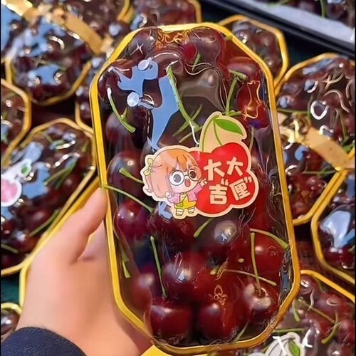 高档一次性金色生鲜托盘