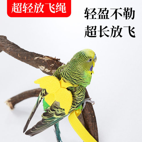 鸟用鹦鹉牵引放飞绳玄凤虎皮牡丹飞行外出背带遛鸟用品玩具