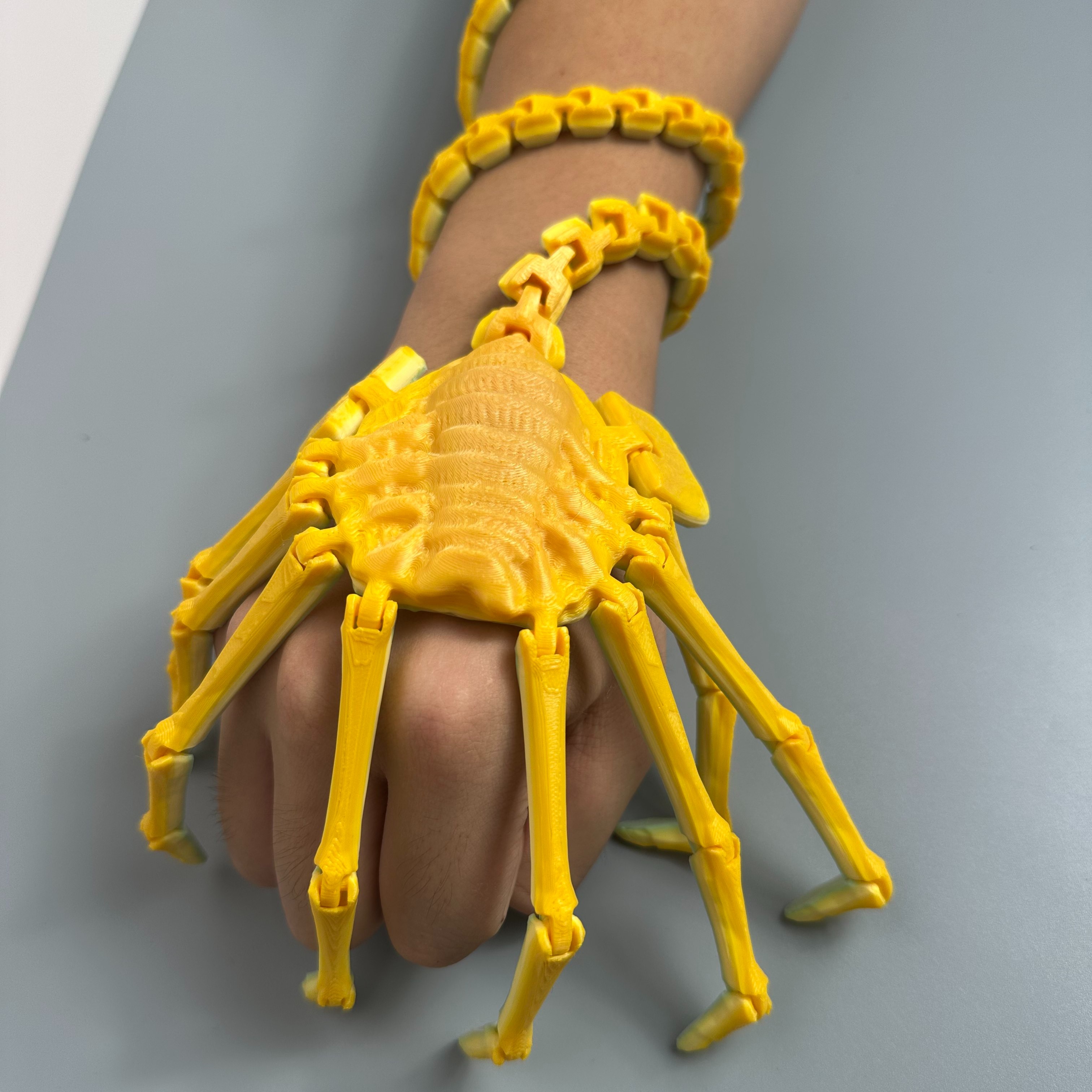 3D打印抱脸虫异形关节可动儿童3D模型摆件