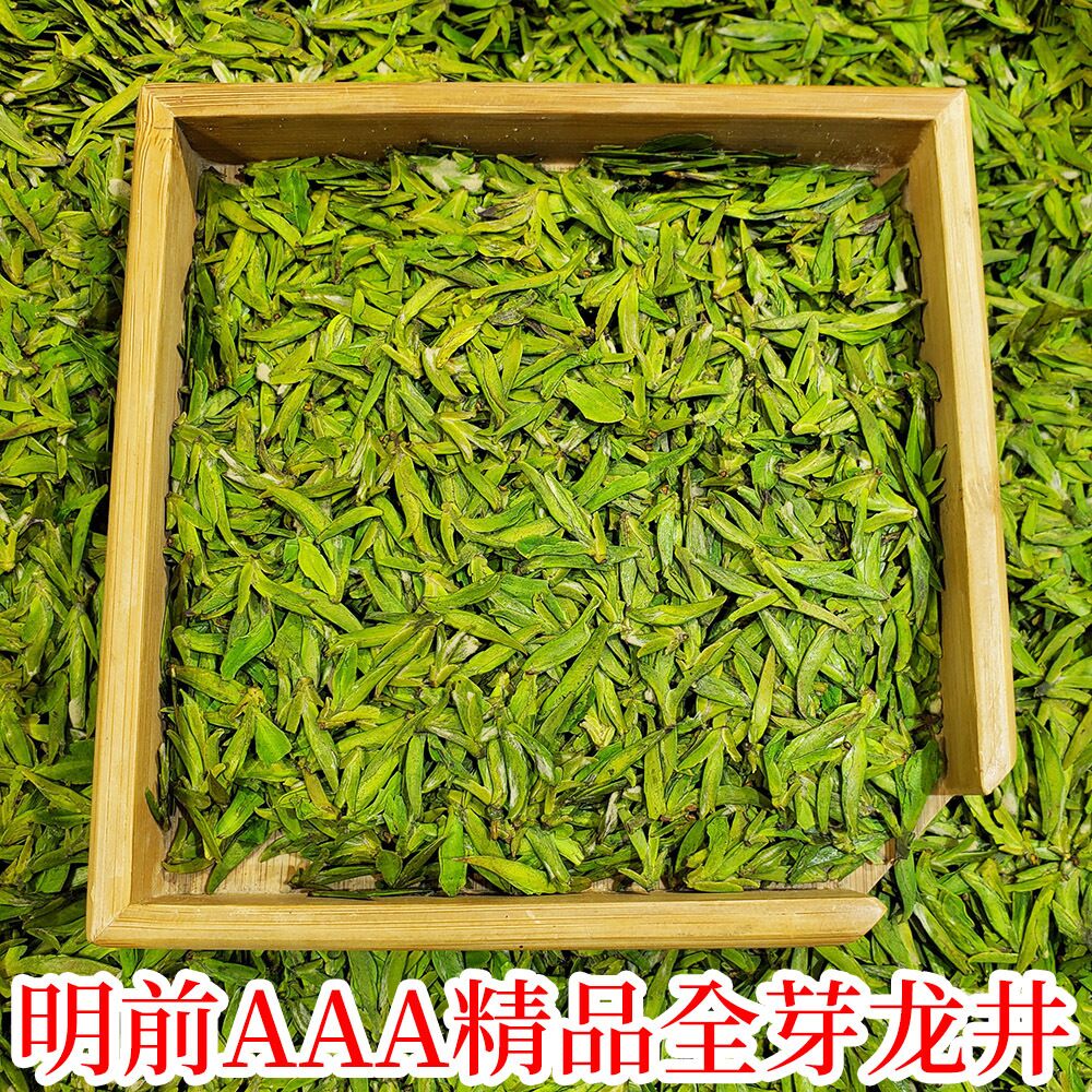 头采明前特级小嫩芽龙井手工春茶