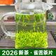 雀舌碎茶片2026年新茶叶明前碎茶芯绿茶春茶龙井嫩芽高碎散装 500g