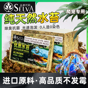 天然优质水苔 寄居蟹爬宠垫材 疏松透气 保湿性好 乌龟冬眠水苔