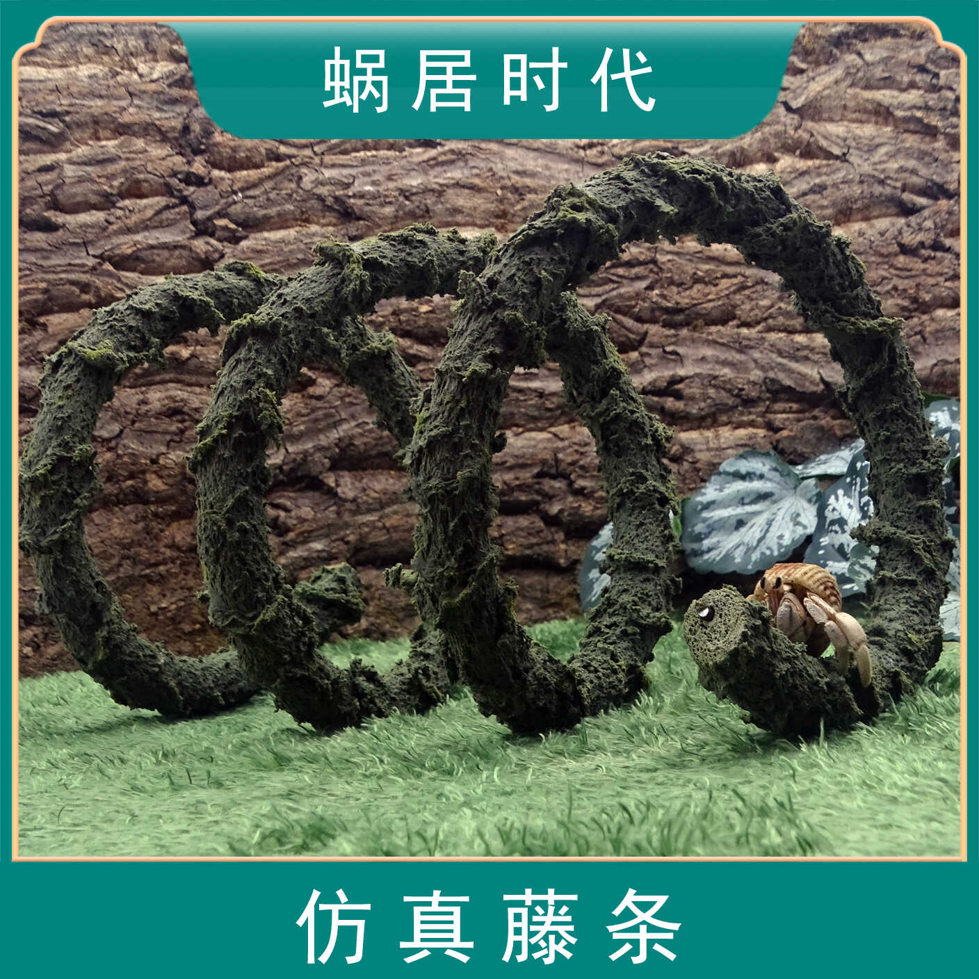 寄居蟹攀爬藤条造景绿藤