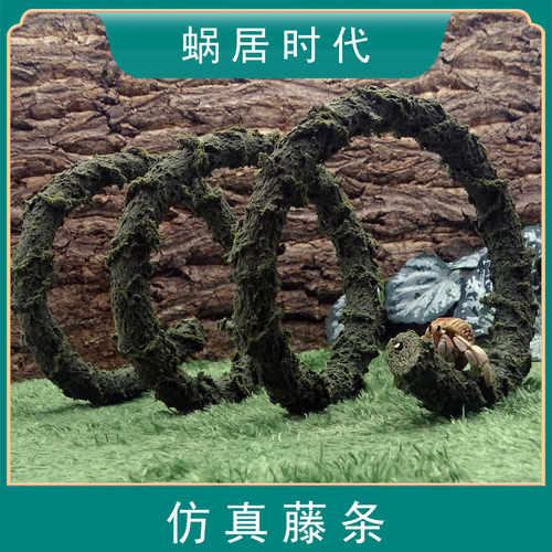 寄居蟹攀爬藤条造景绿藤