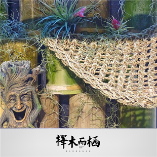 寄居蟹攀爬网背景墙造景装饰躲避窝海草吊床灰白草莓里拉日本紫陆