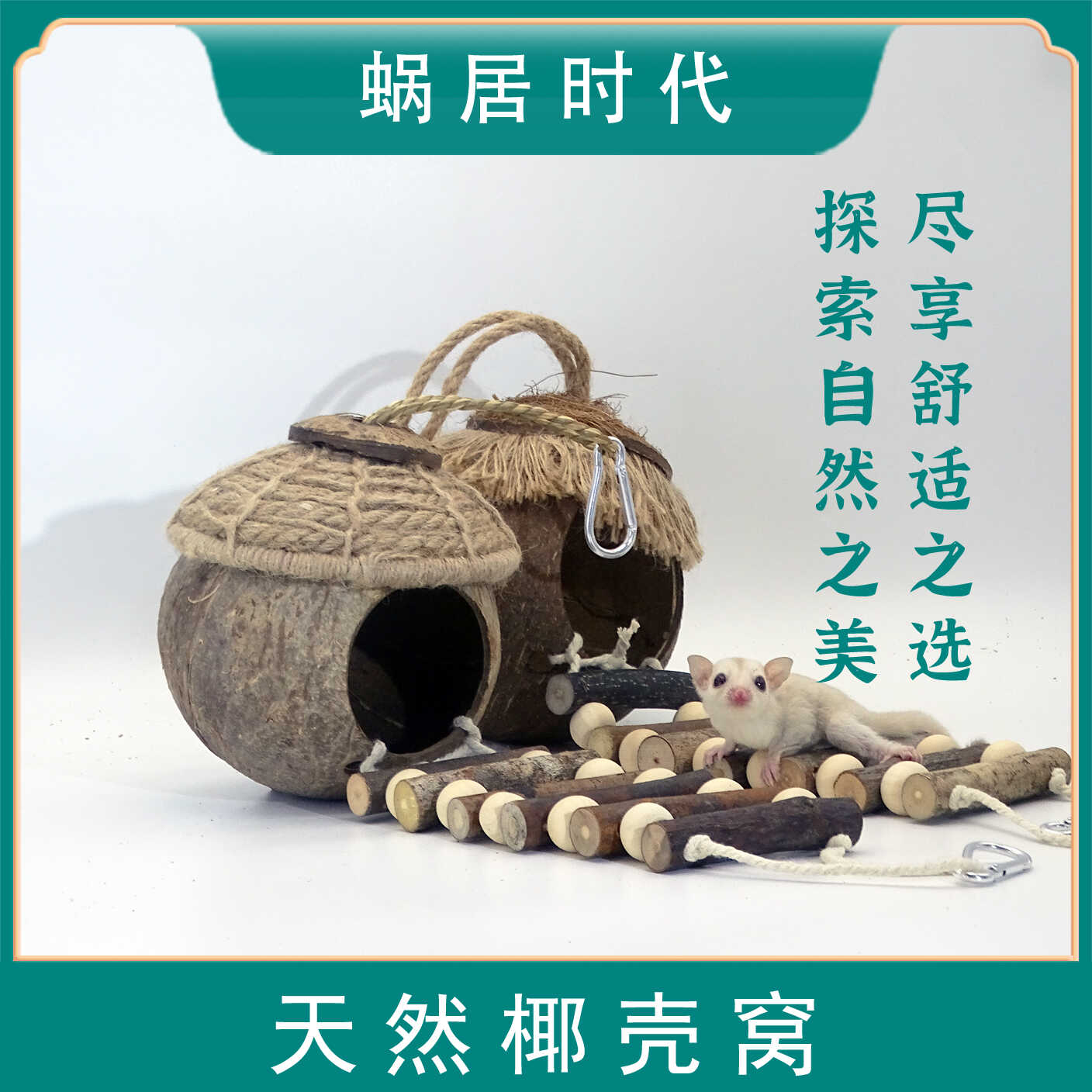 寄居蟹仓鼠爬宠鸟窝椰子壳躲避屋