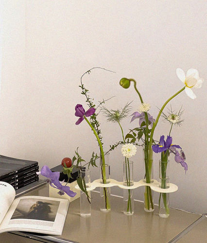 亚克力试管花瓶极简支架水培花器