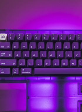 LeleLab 巴黎紫键帽游戏办公数码原厂高度优雅彩色原装紫色磨砂