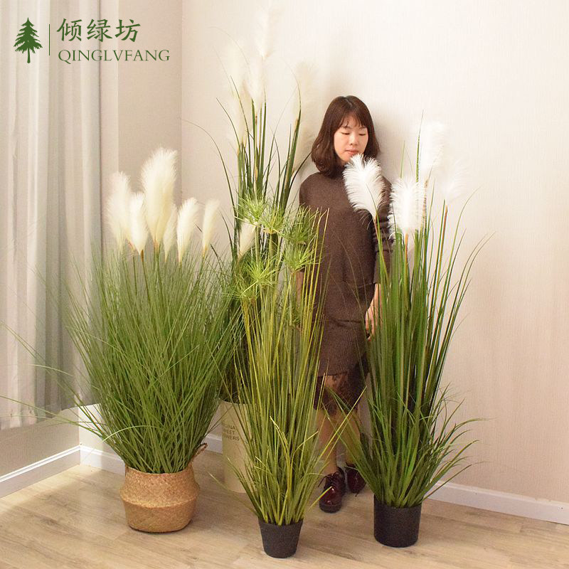 北欧仿真植物芦苇假草盆栽装饰大盆景摆件ins风家居室内落地绿植|ruв категории Домашний быт, ваза/цветок/искусственные цветы/моделирование украшения, бонсай моделирования растений - от Buy2taobao.com для оказания профессиональной услуги покупки агента Taobao