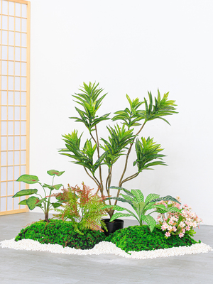 仿真苔藓鼓包植物室内客厅装饰微景草皮绿植造景绿植景观草坪