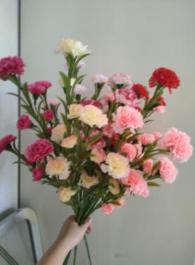 康乃馨仿真花束客厅假花餐桌摆件插花绢花塑料花装饰花母亲节礼物
