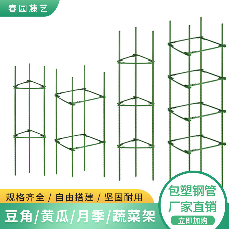 室外阳台爬藤架玫瑰花月季蔷薇