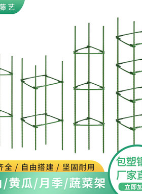 室外阳台爬藤架玫瑰花月季蔷薇