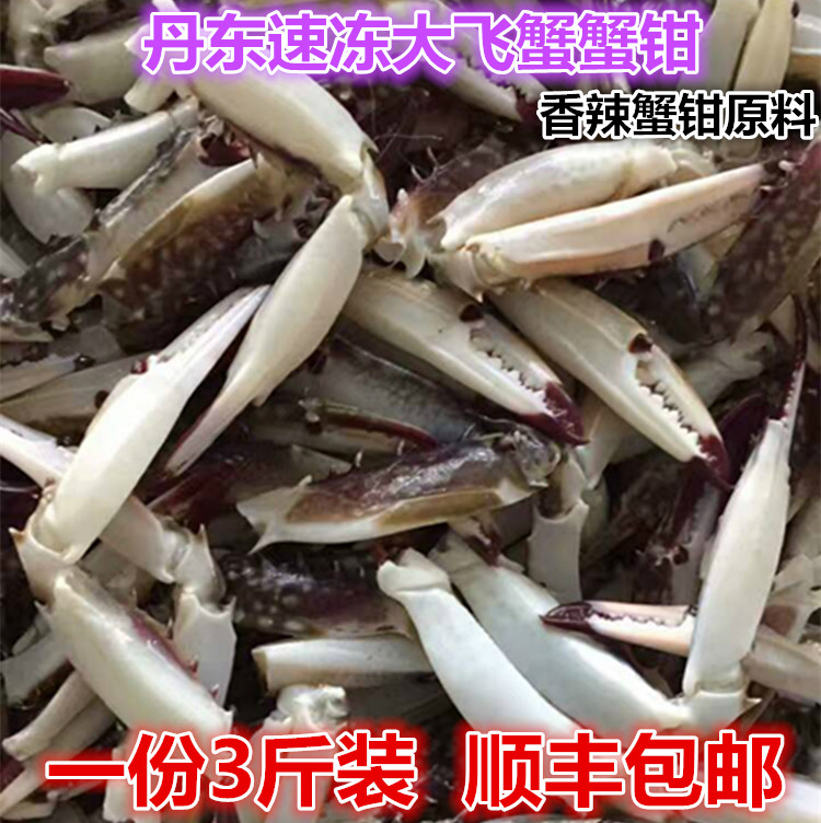 新鲜冷冻蟹钳丹东大飞蟹蟹脚大梭子蟹蟹腿不包冰鲜活速冻海鲜水产