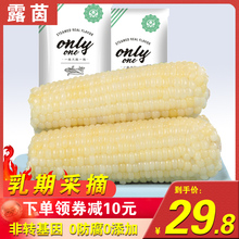 立减3元 露茵甜糯小玉米棒新鲜即食糯玉米粘黏现摘真空东北8棒