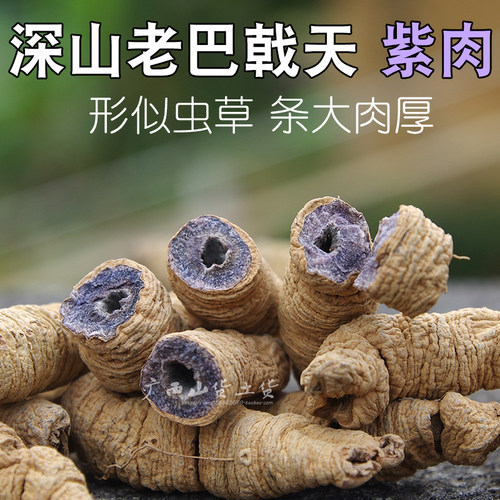 抽芯巴戟天紫肉干货大条广西直发