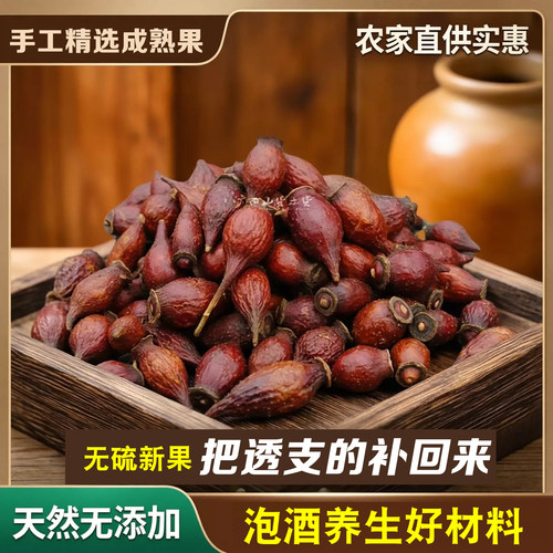 广西野生金樱子产地直发品质佳
