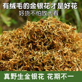 广西野生金银花带绒毛天然无硫忍冬产地直发泡茶去火茶叶泡菊花茶