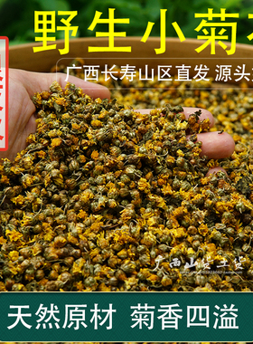 广西野生小菊花中药材500g胎菊散装精选苦干米菊天然正品菊花茶
