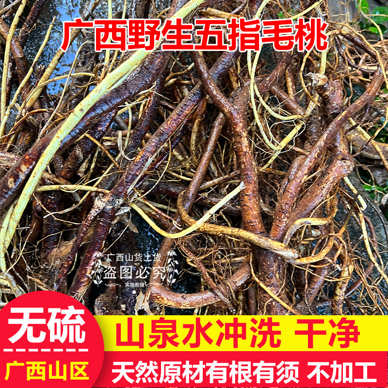 正宗广西深山五指毛桃无硫天然原材农家自挖椰香煲汤料土茯苓干货