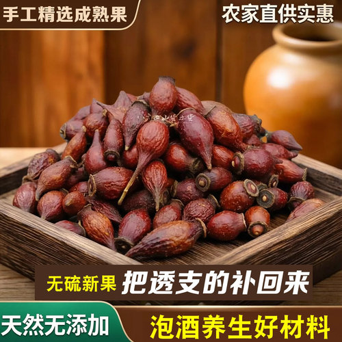 广西野生金樱子产地直发品质佳