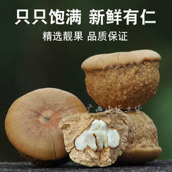 广西野风流果天然干果无硫新货正品石头果龟头子厚鳞煲汤煮水泡酒