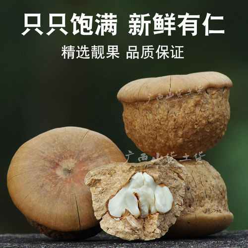 广西野风流果天然干果无硫新货正品石头果龟头子厚鳞煲汤煮水泡酒 - 封面
