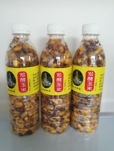 老坛酒酿软玉米6大瓶2100克打窝钓饵主攻草鱼鲤鱼