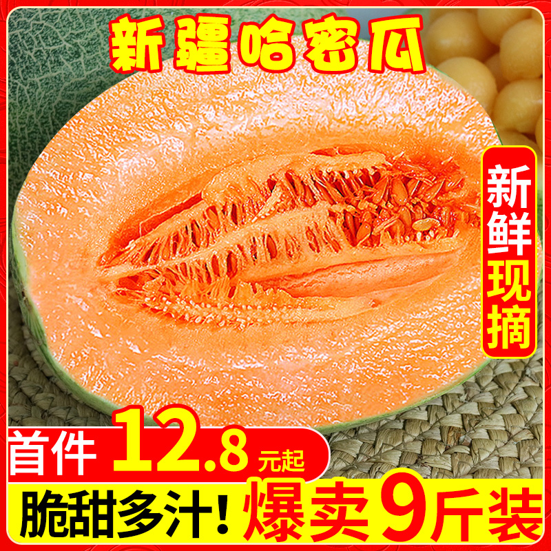 新疆哈密瓜新鲜一箱孕妇水果包邮9斤当季整箱网纹瓜香甜蜜瓜应季