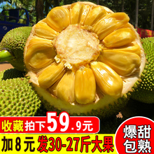 59.9元包邮 六井 海南菠萝蜜 22-25斤