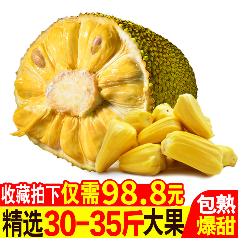 海南三亚热带新鲜水果菠萝蜜30-35斤包邮波罗蜜一整个当季果整箱