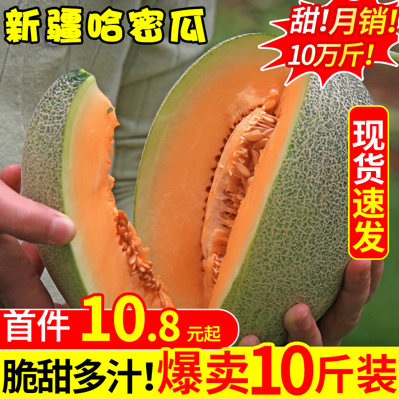 新疆哈密瓜新鲜一箱水果包邮10斤当季整箱应季网纹瓜香甜蜜瓜应季