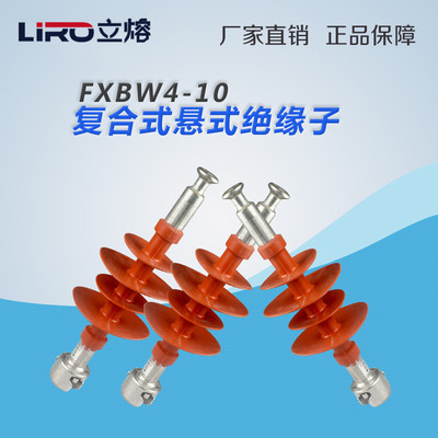 电气FXBW4-10KV/70LIRO/立熔