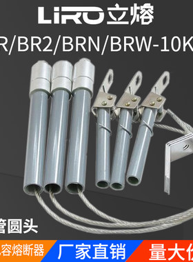 高压并联熔断器电容保护器BR2-BRW-BRN-10A12KV/30A40A60A100A150