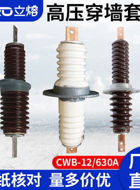 户外高压穿墙套管CWB-12KV/630A户内CC- CB-10/400A铜排20KV/200A