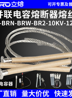 并联电容器熔丝BRN-BRW-BR2-10-12KV/20A25A30A40A50A保护熔断器