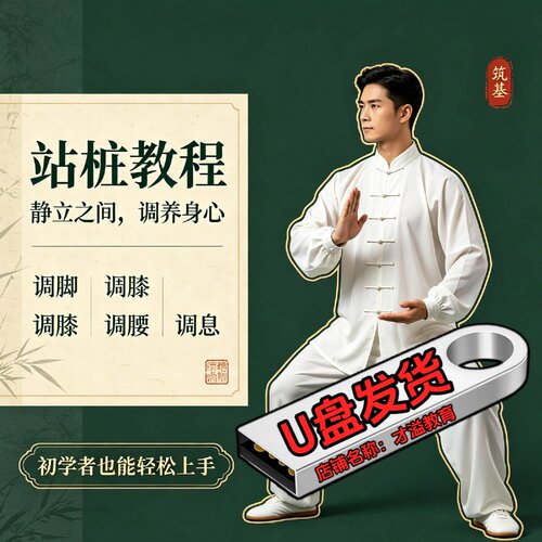 站桩教程U盘初学者入门到精通带练跟练全套视频课程八段锦太极拳