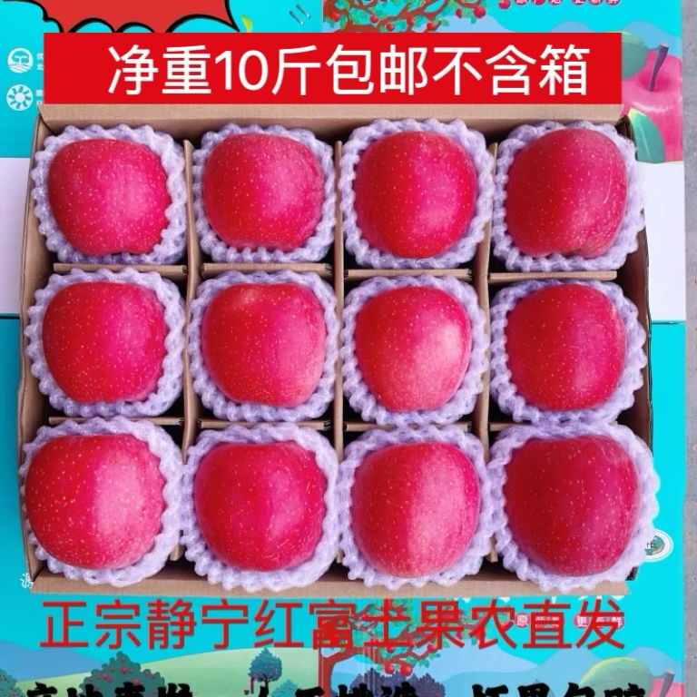 甘肃静宁红富士苹果新鲜采摘应季水果产地直发