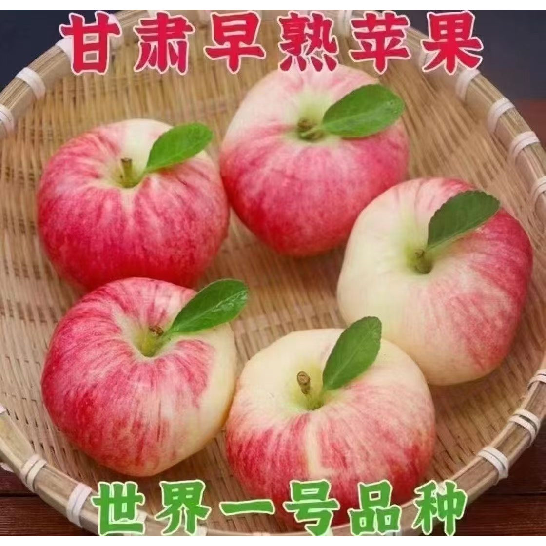 甘肃天水早熟世界一苹果现摘包邮