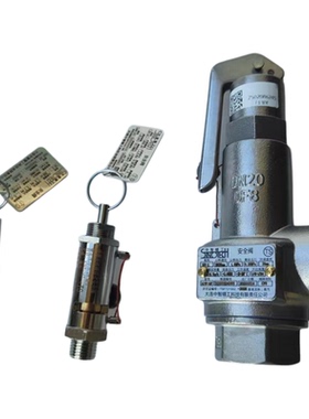 山东新华灭菌器DN8 SV-5整定压力0.28大连中智精工A28X-16T安全阀