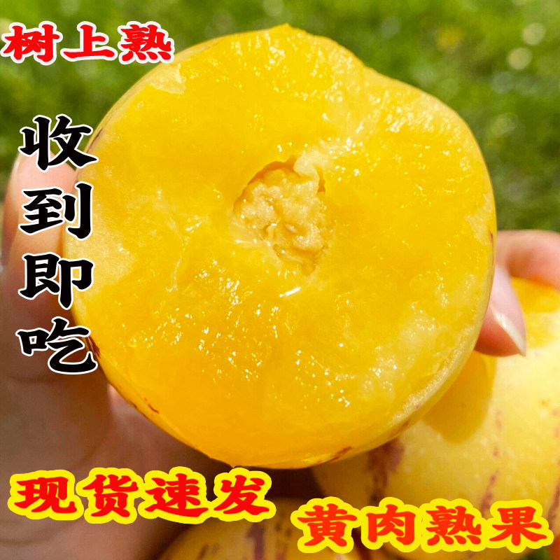 人参果新鲜现摘大圆果自然熟黄肉