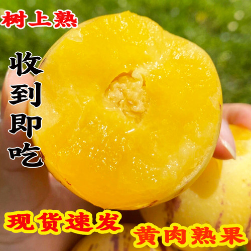 云南石林人参果新鲜现摘5斤大圆果自然熟黄肉人生果整箱9不熟包赔