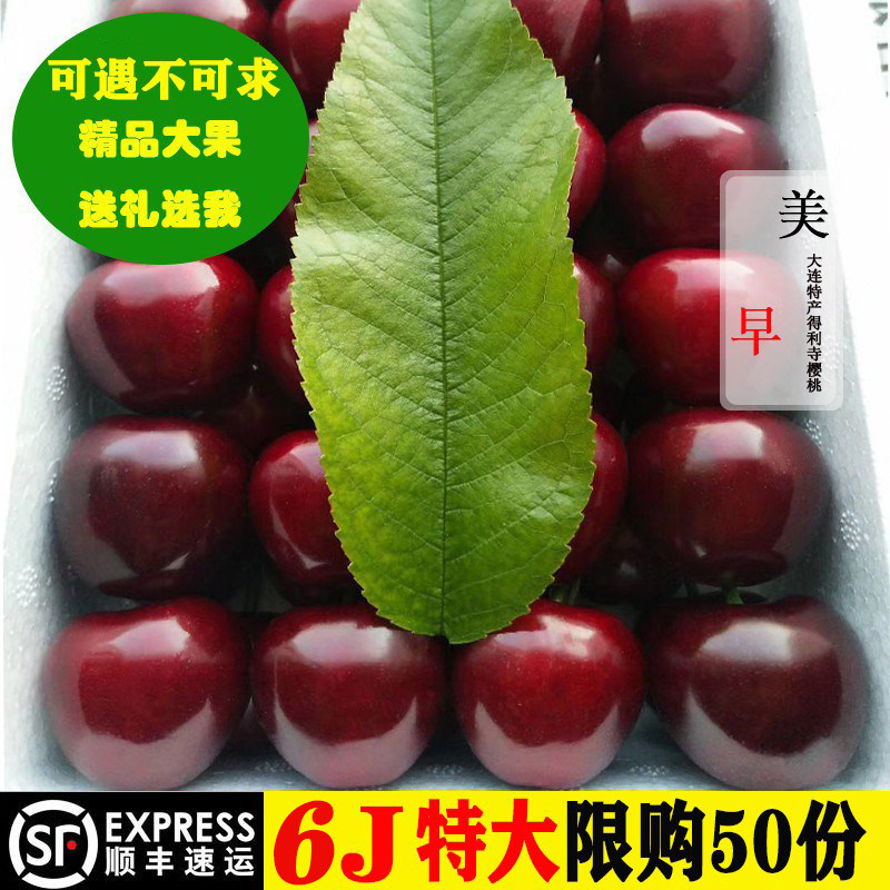 大连樱桃7J级美早黑珍珠