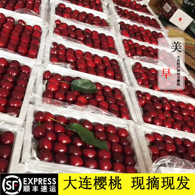 大连樱桃2斤0-8°大连新鲜采摘