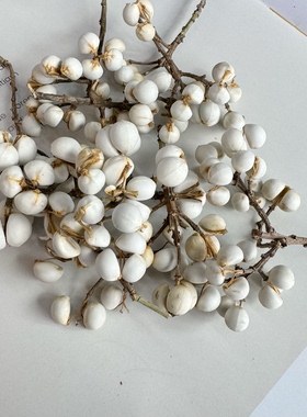 幼儿园手工圣诞节材料包小白果乌臼果冬菇草干果小花艺花材干花拍