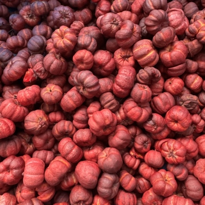 森系圣诞迷你南瓜真花干花小桔瓜大豆荚DIY材料香薰蜡烛拍摄道具