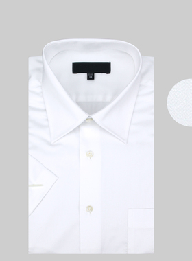 专柜220支超高支纱白色全棉短袖衬衫 高织纱男士商务精品半袖衬衣