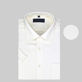 断码 半袖 纯色职业短袖 涤棉男士 专柜正品 短袖 衬衫 商务正装 衬衣夏